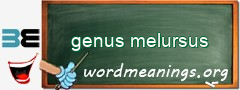 WordMeaning blackboard for genus melursus